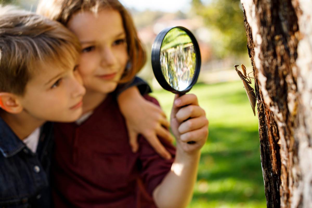 bambino e bambina guardano albero con lente di ingrandimento