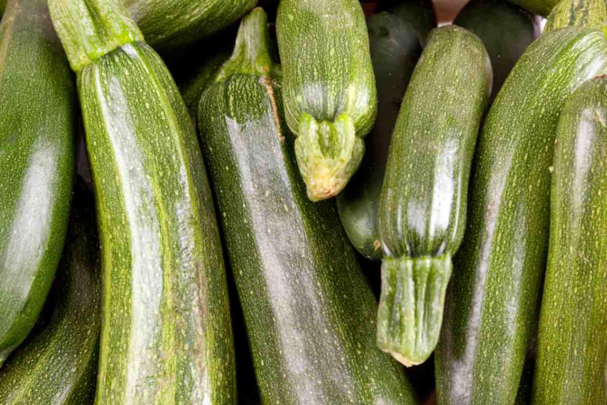 zucchine