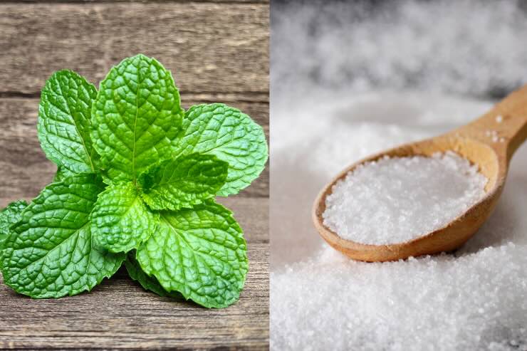 menta e sale
