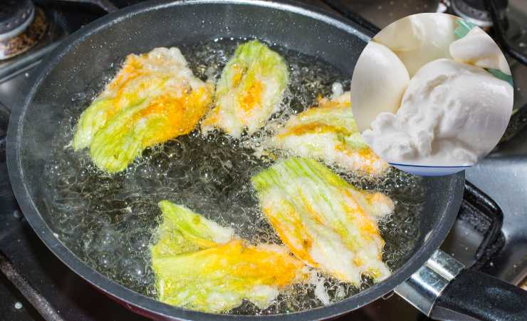 fiori di zucca in olio e burrata 