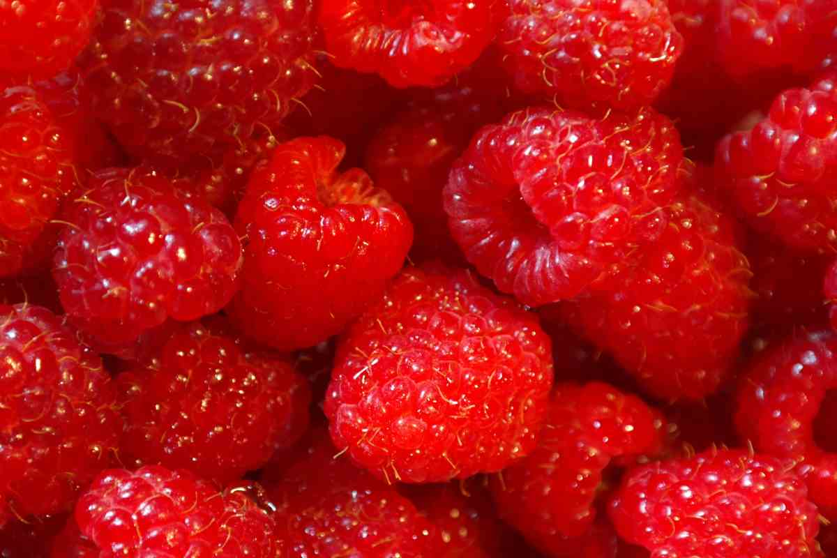 Dei lamponi in una ciotola