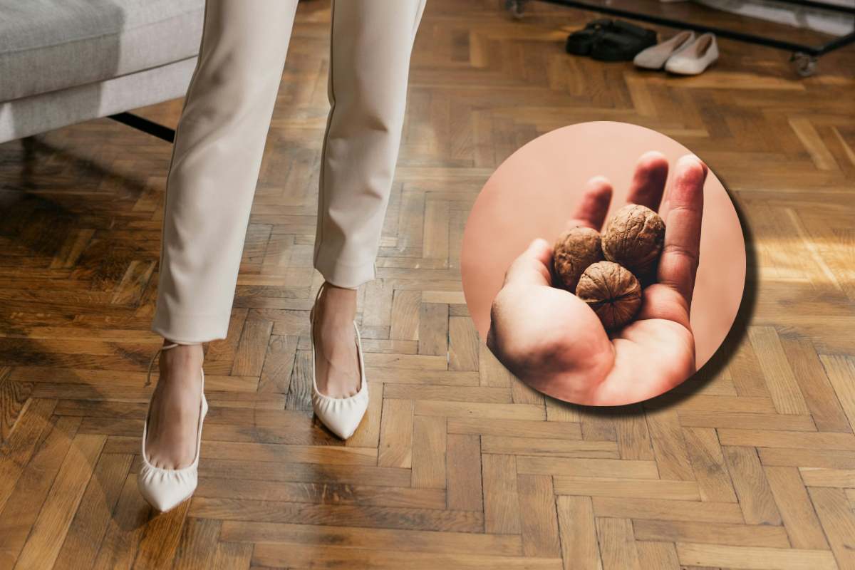 Sono veri i video in rete: una noce toglie i graffi dal tuo parquet, il motivo è incredibile