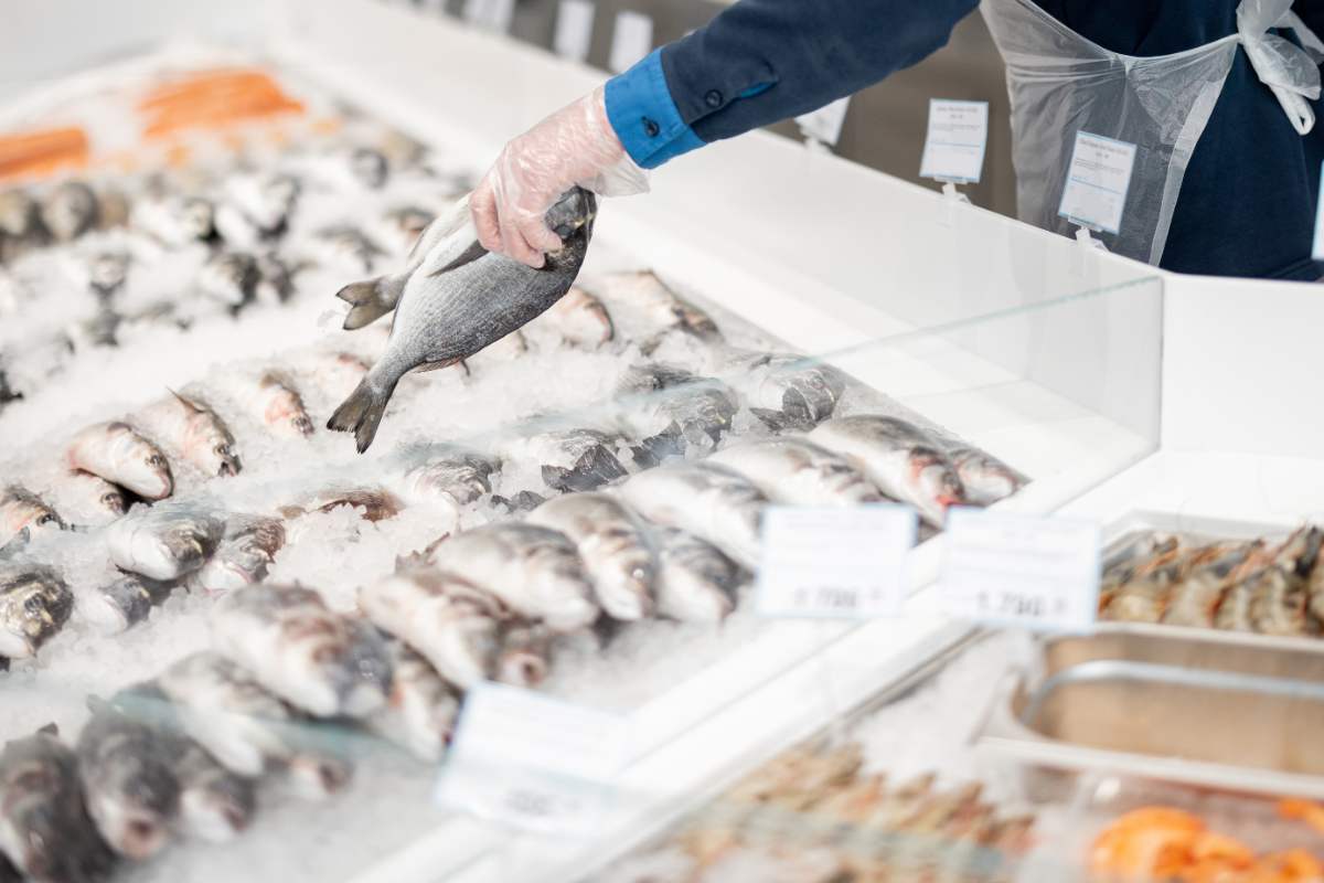 pescheria del supermercato