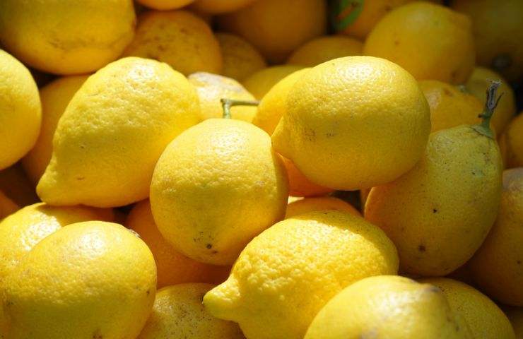limoni