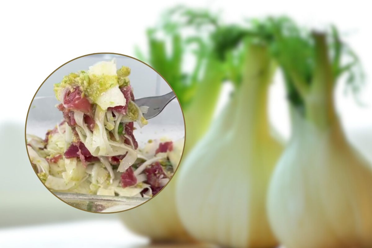Insalata di finocchi e finocchi nello sfondo